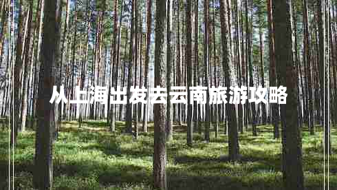 從上海出發(fā)去云南旅游攻略
