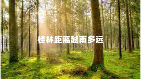 桂林距離越南多遠(yuǎn)