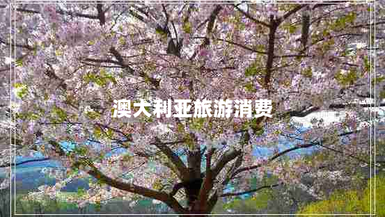 澳大利亞旅游消費(fèi)