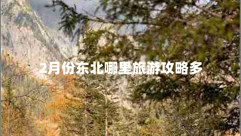 2月份東北哪里旅游攻略多