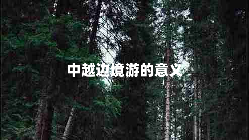 中越邊境游的意義