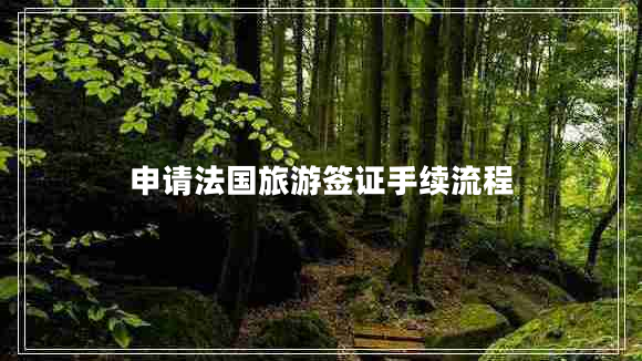 申請法國旅游簽證手續(xù)流程