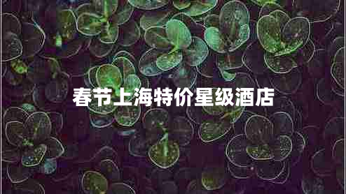 春節(jié)上海特價星級酒店