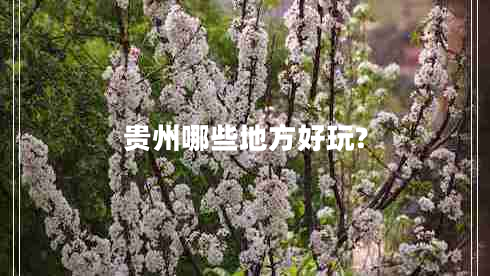 貴州哪些地方好玩? 貴州哪些地方好玩?