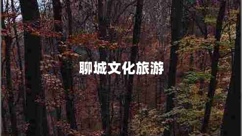 聊城文化旅游 聊城文化旅游