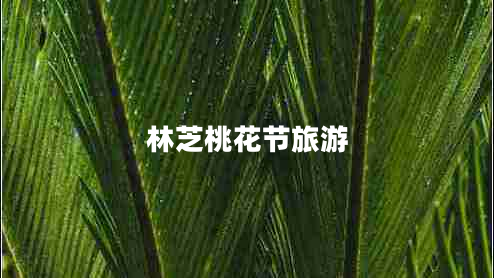 林芝桃花節(jié)旅游