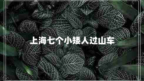 上海七個(gè)小矮人過山車