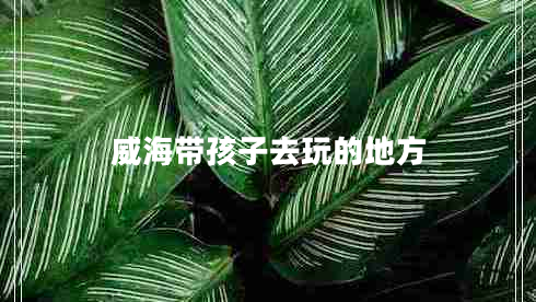 威海帶孩子去玩的地方