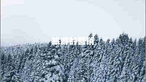 旅游的營銷 旅游的營銷