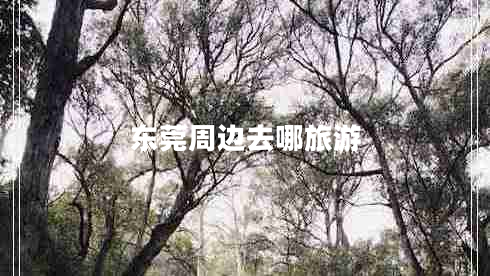 東莞周邊去哪旅游