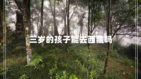 三歲的孩子能去西藏嗎