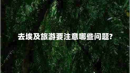 去埃及旅游要注意哪些問(wèn)題? 去埃及旅游要注意哪些問(wèn)題?