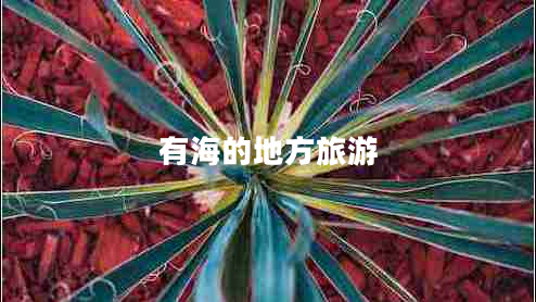 有海的地方旅游