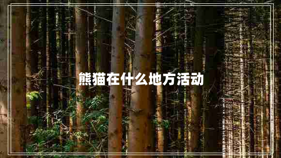 熊貓在什么地方活動