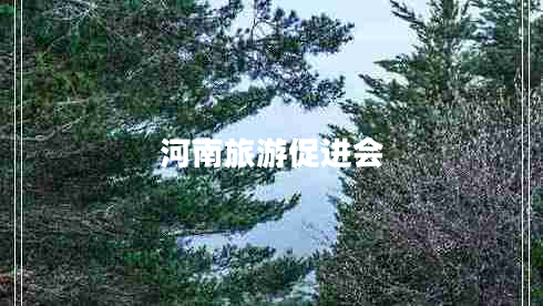 河南旅游促進(jìn)會 河南旅游促進(jìn)會