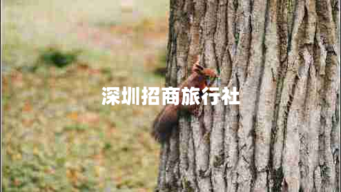 深圳招商旅行社 深圳招商旅行社