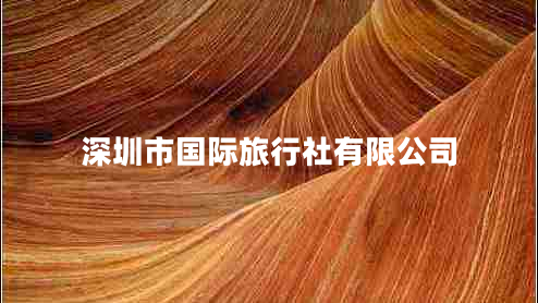 深圳市國際旅行社有限公司