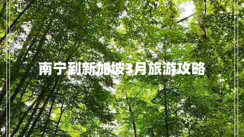 南寧到新加坡3月旅游攻略