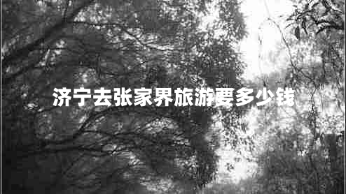 濟寧去張家界旅游要多少錢 濟寧去張家界旅游要多少錢