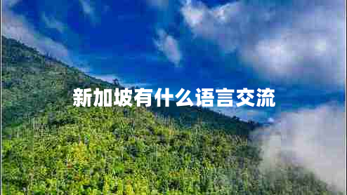 新加坡有什么語(yǔ)言交流 新加坡有什么語(yǔ)言交流