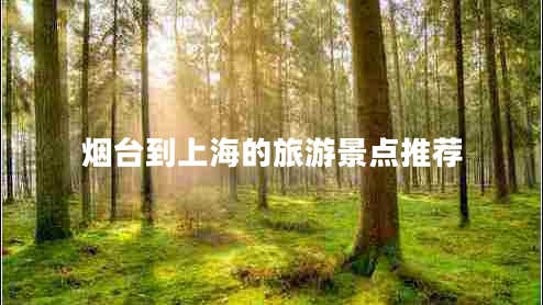 煙臺到上海的旅游景點推薦