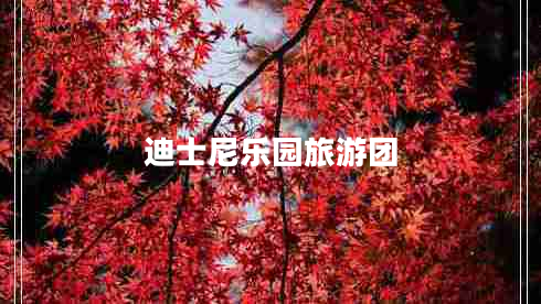 迪士尼樂園旅游團(tuán) 迪士尼樂園旅游團(tuán)