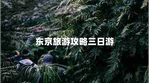 東京旅游攻略三日游 東京旅游攻略三日游