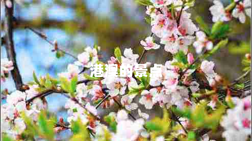 港澳的景點(diǎn) 港澳的景點(diǎn)