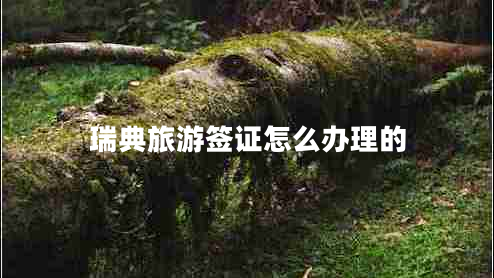 瑞典旅游簽證怎么辦理的