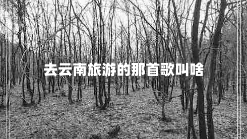去云南旅游的那首歌叫啥 去云南旅游的那首歌叫啥