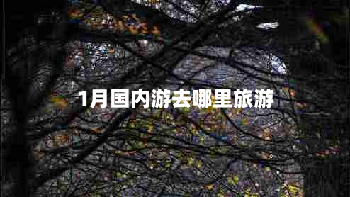 1月國內(nèi)游去哪里旅游