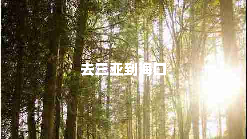 去三亞到?？? title=