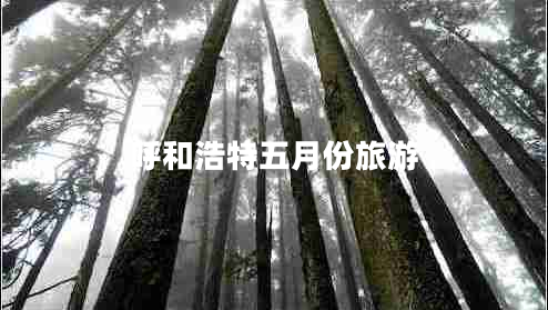 呼和浩特五月份旅游