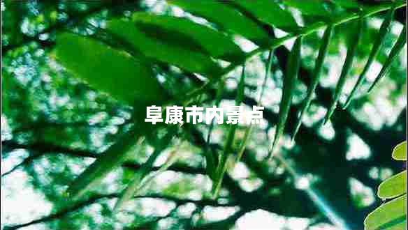 阜康市內(nèi)景點(diǎn)