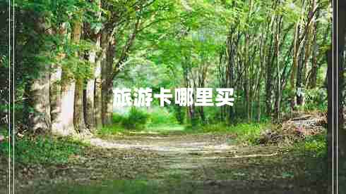 旅游卡哪里買