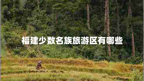 福建少數(shù)名族旅游區(qū)有哪些 福建少數(shù)名族旅游區(qū)有哪些