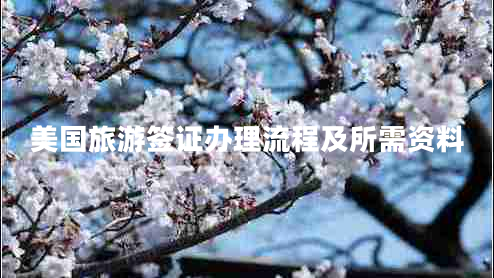 美國(guó)旅游簽證辦理流程及所需資料 美國(guó)旅游簽證辦理流程及所需資料