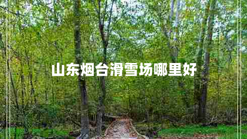 山東煙臺滑雪場哪里好