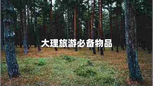 大理旅游必備物品