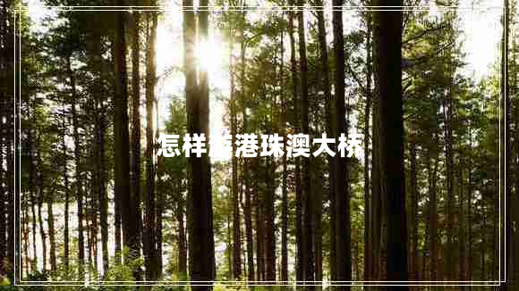 怎樣游港珠澳大橋