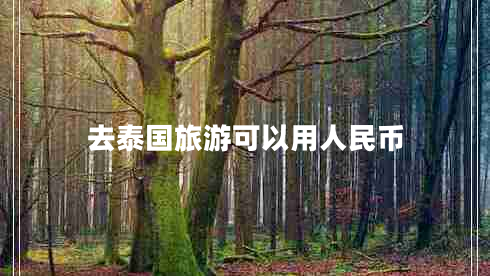 去泰國(guó)旅游可以用人民幣