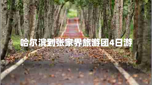 哈爾濱到張家界旅游團4日游