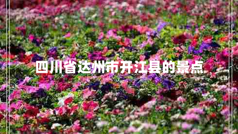 四川省達(dá)州市開江縣的景點