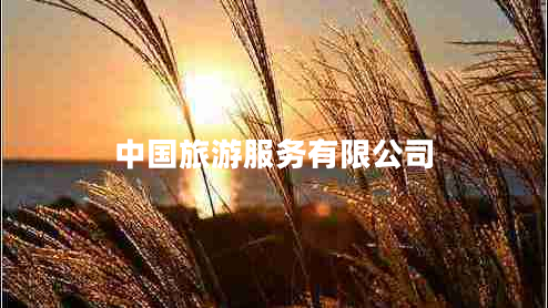 中國(guó)旅游服務(wù)有限公司