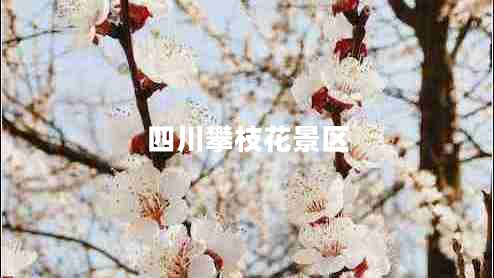 四川攀枝花景區(qū) 四川攀枝花景區(qū)