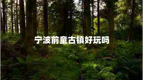 寧波前童古鎮(zhèn)好玩嗎
