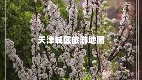 天津城區(qū)旅游地圖