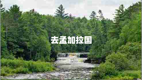 去孟加拉國(guó)