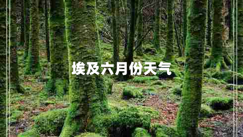 埃及六月份天氣 埃及六月份天氣