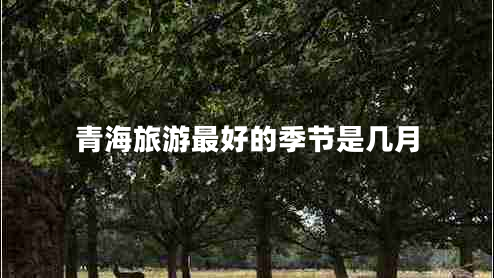 青海旅游最好的季節(jié)是幾月
